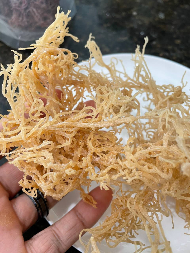 Jamaican Sea Moss